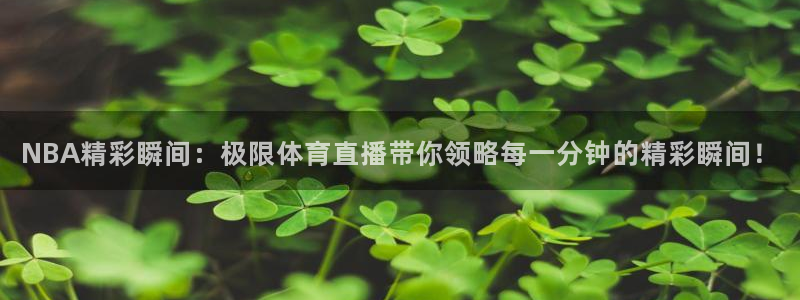 NBA精彩瞬间：极限体育直播带你领略每一分钟的精彩瞬间！