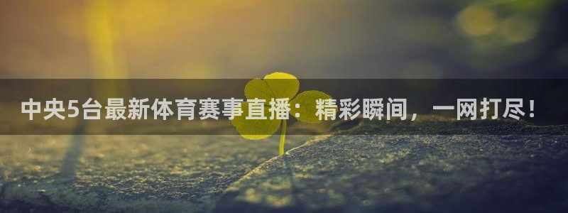 中央5台最新体育赛事直播：精彩瞬间，一网打尽！