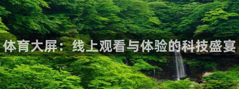体育大屏：线上观看与体验的科技盛宴