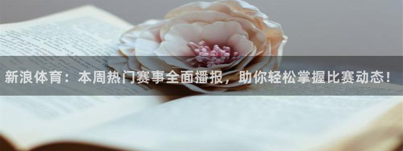 新浪体育：本周热门赛事全面播报，助你轻松掌握比赛动态！