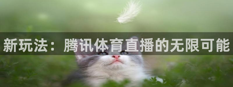 新玩法：腾讯体育直播的无限可能