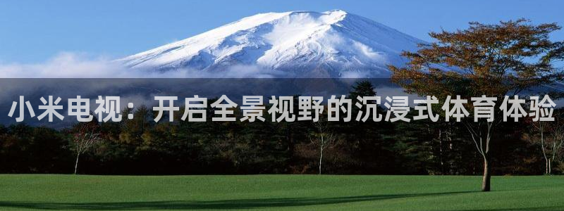 小米电视：开启全景视野的沉浸式体育体验
