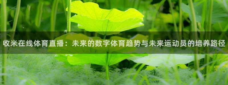 收米在线体育直播：未来的数字体育趋势与未来运动员的培养路径