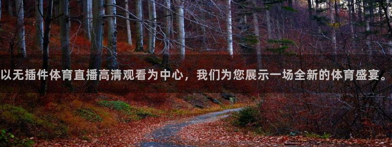 以无插件体育直播高清观看为中心，我们为您展示一场全新的体育盛宴。