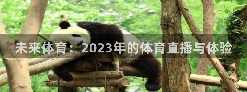 未来体育：2023年的体育直播与体验